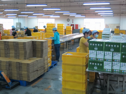 QUY TRÌNH SẢN XUẤT BÚT CHÌ